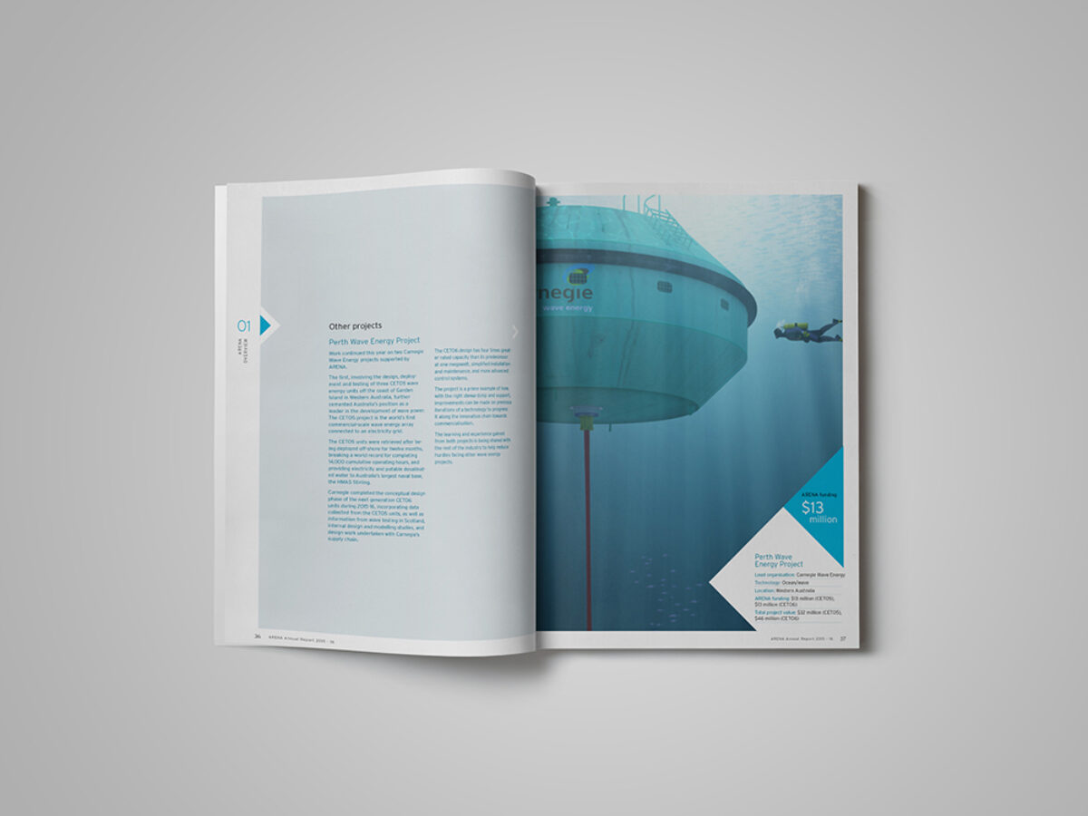 ARENA annual report layout