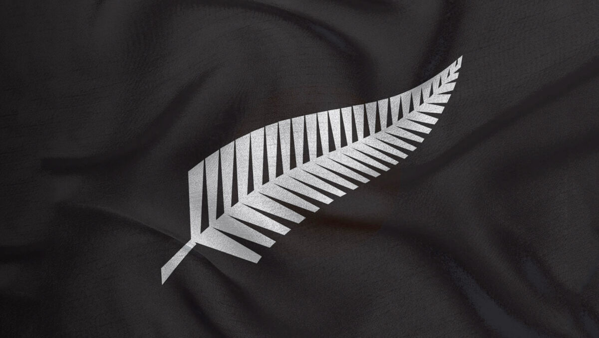 All Black Silver Fern Logo