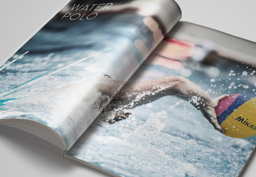 SSA publication spread
