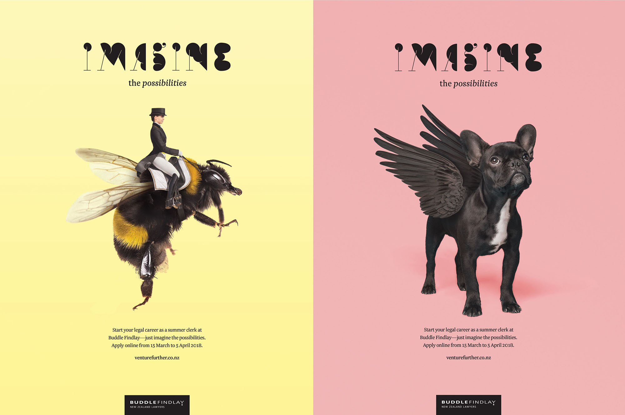 Buddle Findlay graphic design posters