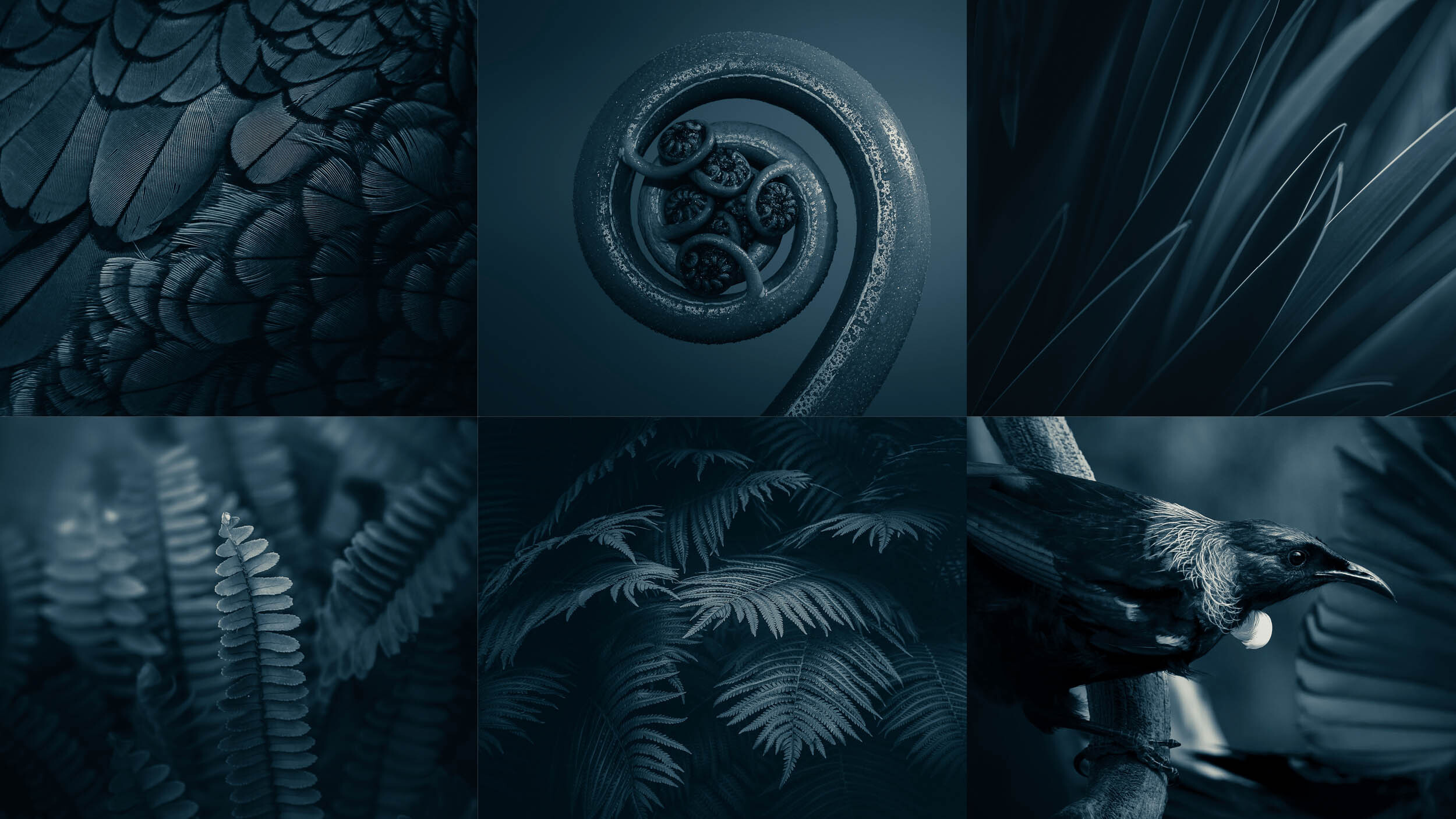 Forsyth Barr Brand Photography