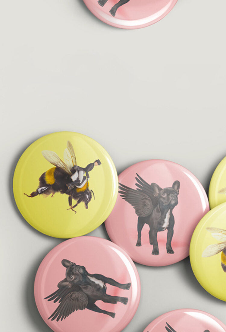 Buddle Findlay Badges