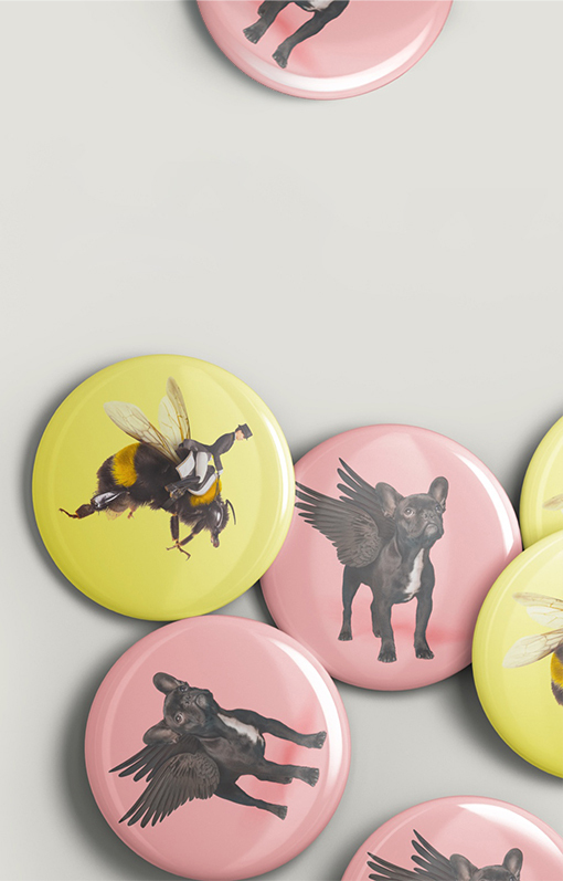 Buddle Findlay Badges
