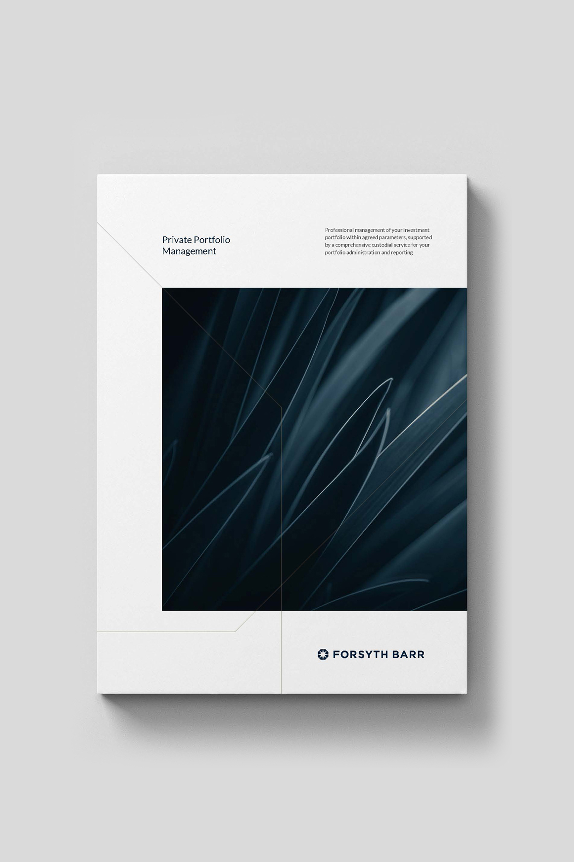 Forsyth Barr publication cover